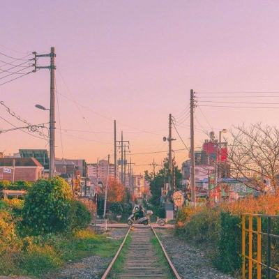 bob·体育综合app